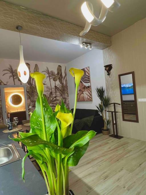 Apartament Casa Maravillosa *